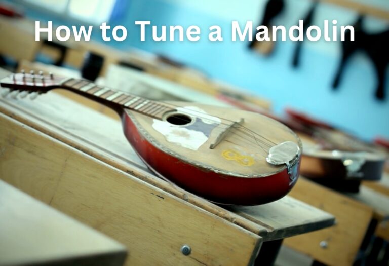 How to Tune a Mandolin 7 Steps Signature Sounds